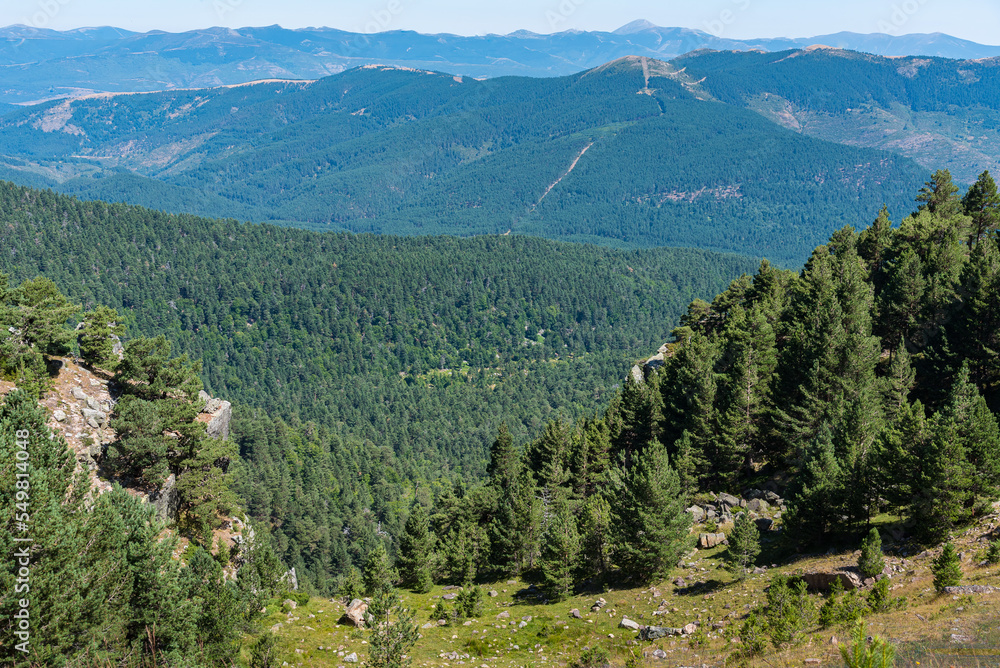 Aerial view of high mountains covered by green pine forest in Neila lagoons natural park at daylight, Neila, Burgos, Spain
