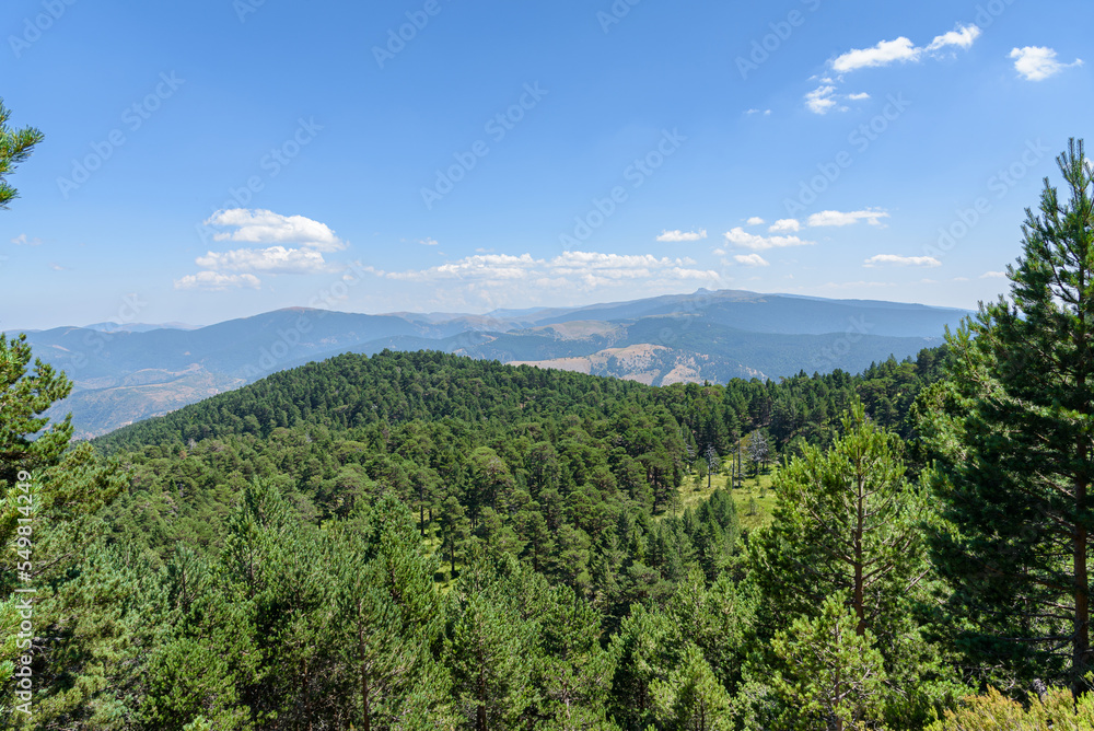 Scenic view of high mountains covered by green pine forest in Neila lagoons natural park at daylight, Neila, Burgos, Spain Scenic view of high mountains covered by green pine forest in Neila lagoons natural park at daylight, Neila, Burgos, Spain