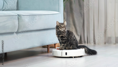 gray striped kitten sits on a robotic vacuum cleaner in the living room. Cute curious kitten is playing at home.