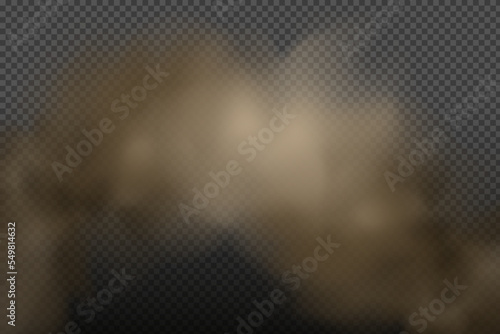 Dust cloud with particles,dirt,cigarette smoke, smog, soil and sand. Realistic vector isolated on transparent background. Concept house cleaning, air pollution,big explosion,desert sandstorm.