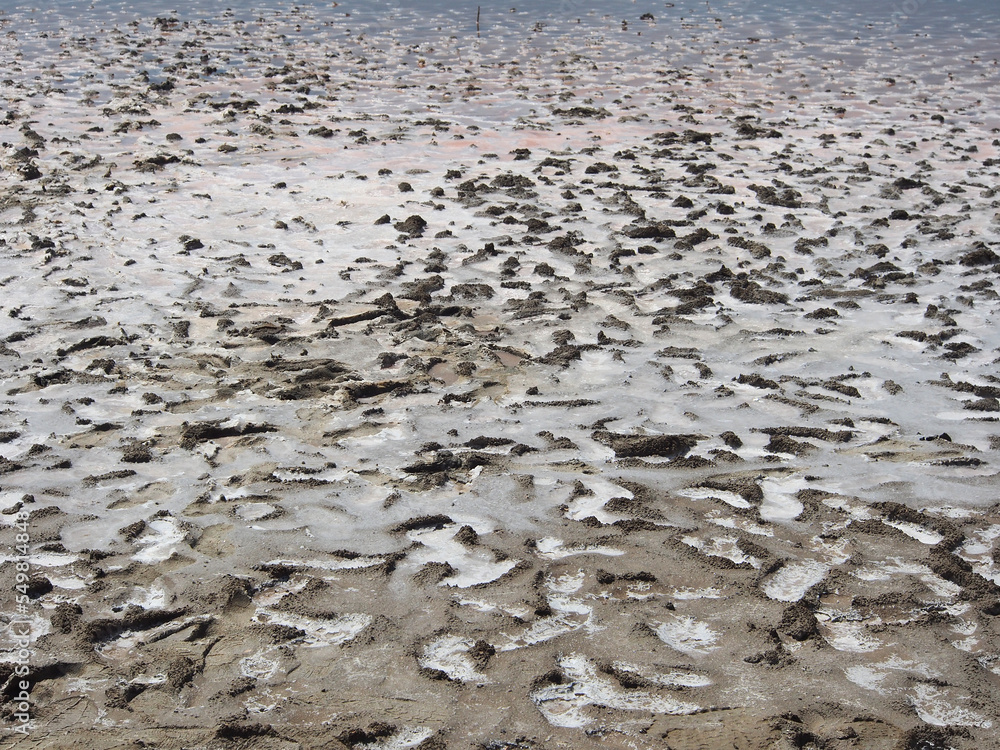 The landscape, the dried-up shore of a salt lake cracked under the rays of the scorching sun. Wildlife, the concept of tourism, recreation and travel. The landscape, the dried-up shore of a salt lake cracked under the rays of the scorching sun. Wildlife, the concept of tourism, recreation and travel.
