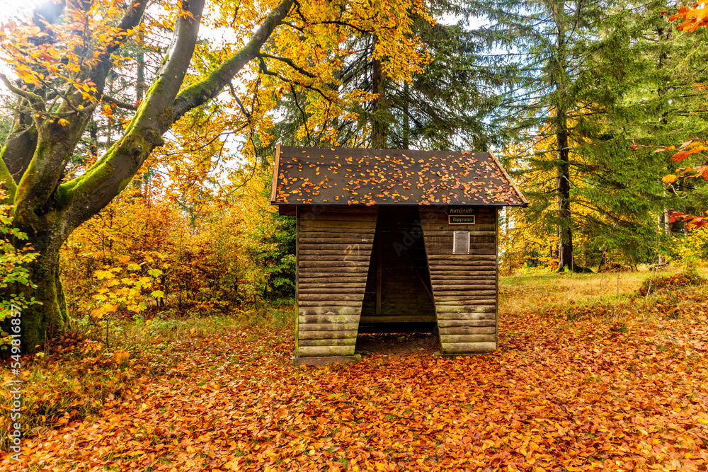 Herbstliche Entdeckungstour durch den Thüringer Wald bei Steinbach-Hallenberg - Thüringen