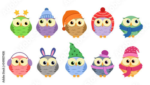 Collection of Christmas owls in cartoon style. Cute owls in flat style