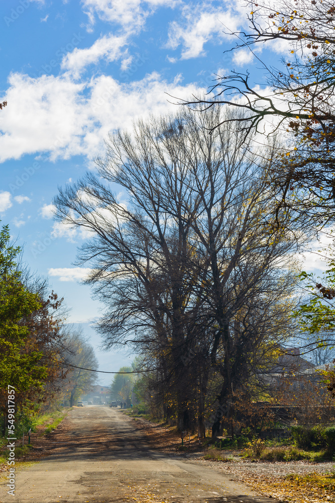 Fototapeta premium Multicolor autumn trees in the Vanadzor