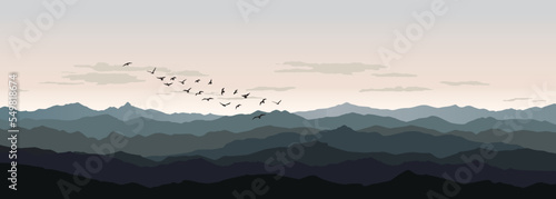 Bird flying silhouette over hills and sky background. Animal wildlife mountain skyline. Rural nature landscape. Resort view background
