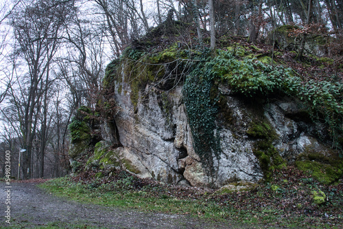 Trees and plants growing on a large rock next to a walking path near Old and New Wolfstein Castles in Germany. photo