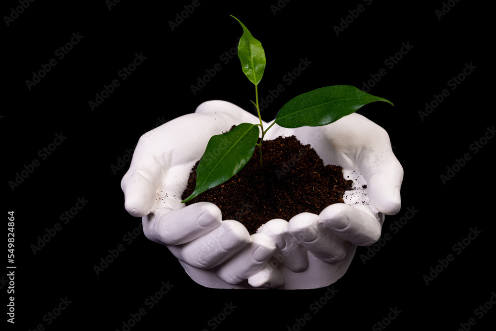 Young small sprout for planting in the ground in the hands, two hands holding for a young green plant, planting tree, love nature, save the world, ecology, environmental protection Young small sprout for planting in the ground in the hands, two hands holding for a young green plant, planting tree, love nature, save the world, ecology, environmental protection