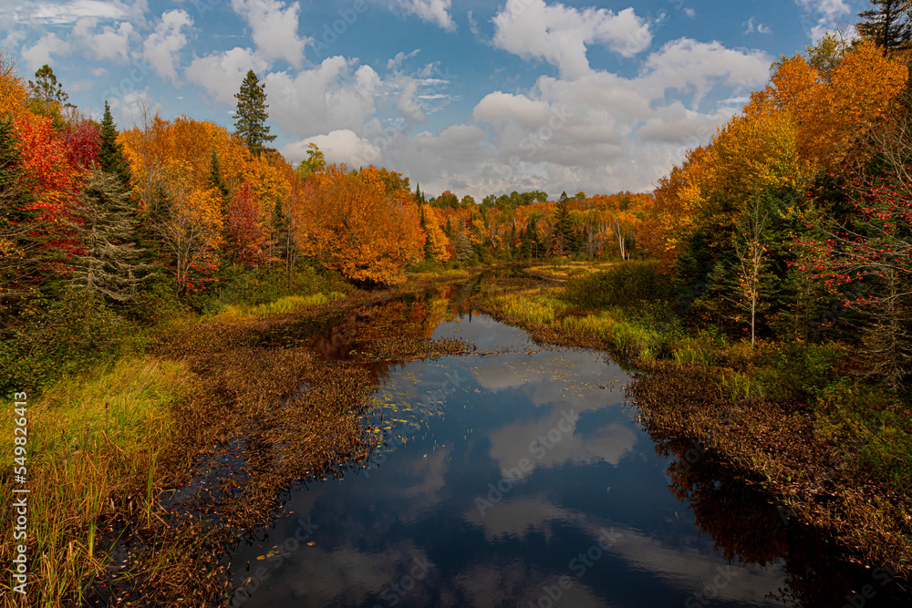 Northwoods Fall Color