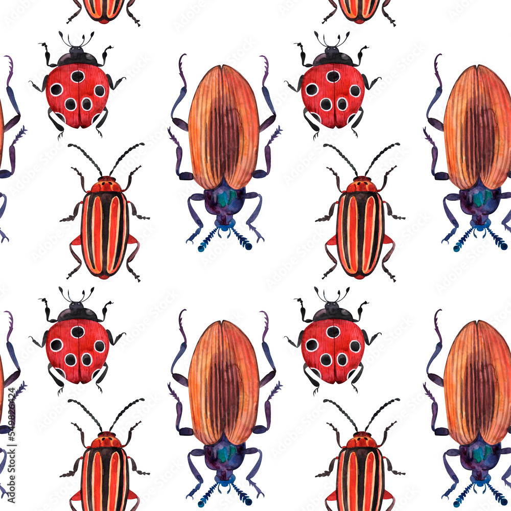 Naklejka premium Watercolor seamless pattern of beetles, red ladybug yellow, black and blue beetles, decorative insects.