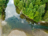 Aerial view of unspoiled river with green conifer trees in the background