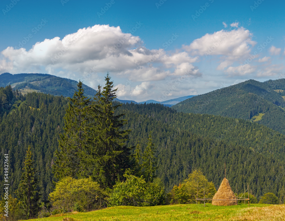 Summer mountainous green meadow with stack of hay (Carpathian Mts, Ukraine).