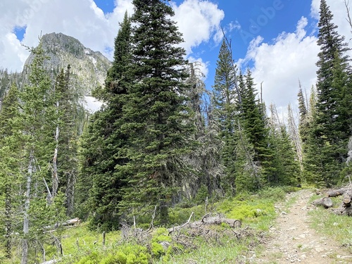 Trailside in the Mountains