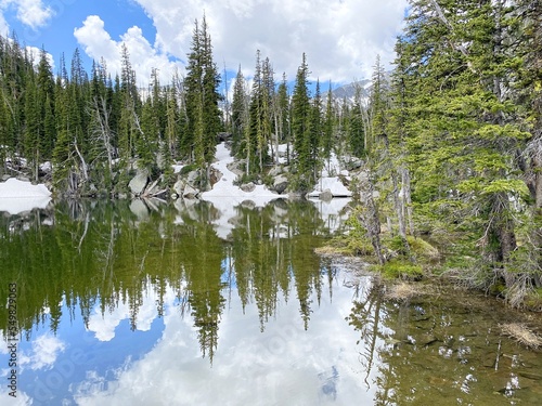 reflection of trees in lake