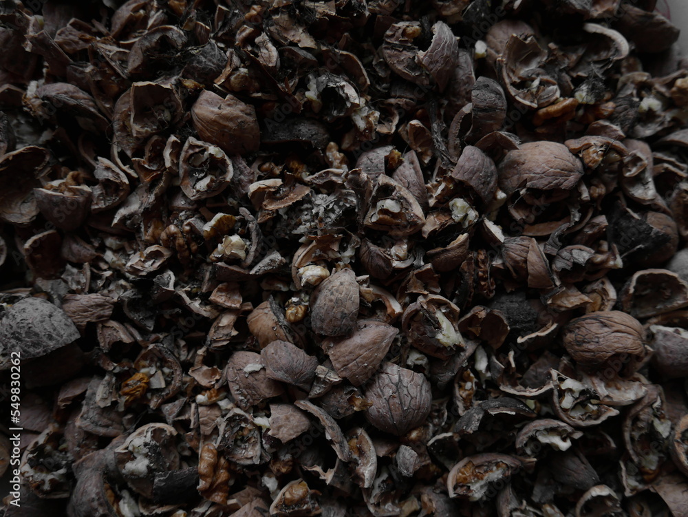 Broken black walnuts inside close-up