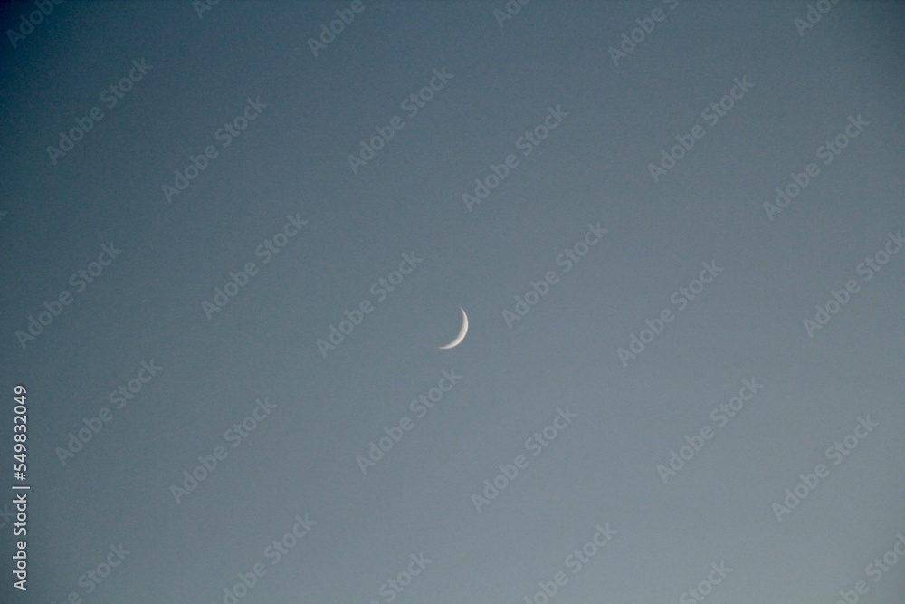 moon moon