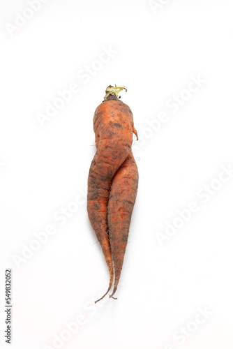 Deformed twisted carrot on white background. Ugly vegetable abnormal shape. Curved carrots. Concept - Food waste reduction. Using in cooking imperfect products