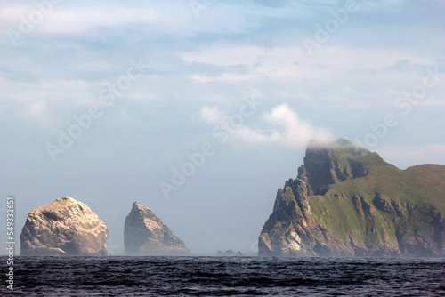 Steep cliffs of St Kilda. The Saint Kilda archipelago contains the largest colony of Northern gannets in Europe with more than 60 000 nests