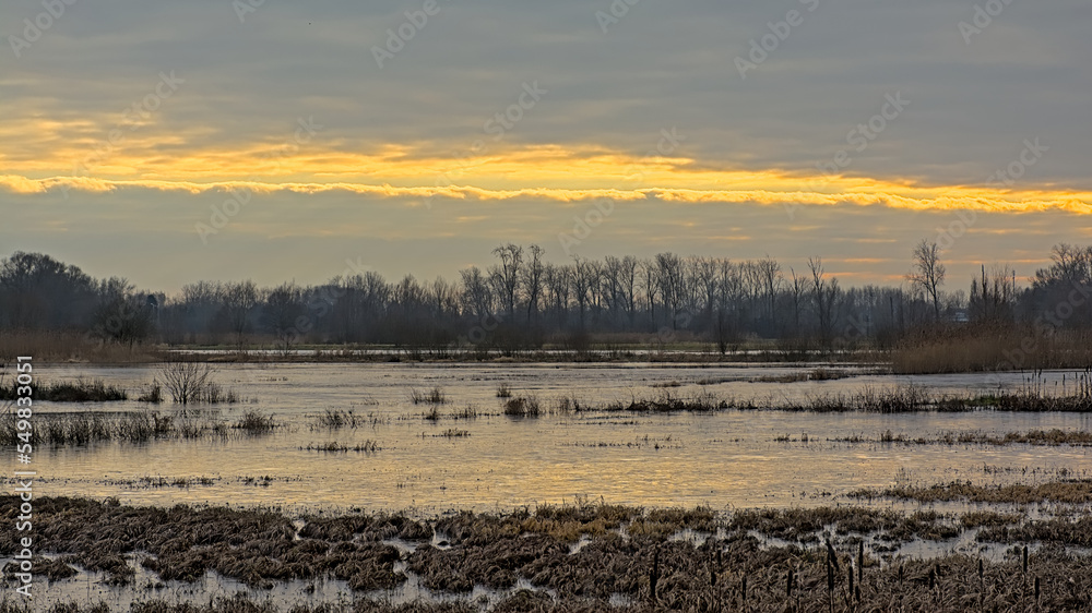 Colorful winter evening sky over the marsh with reflection of sunlight in the water in Bourgoyen nature reserve, Ghent, Flanders, Belgium