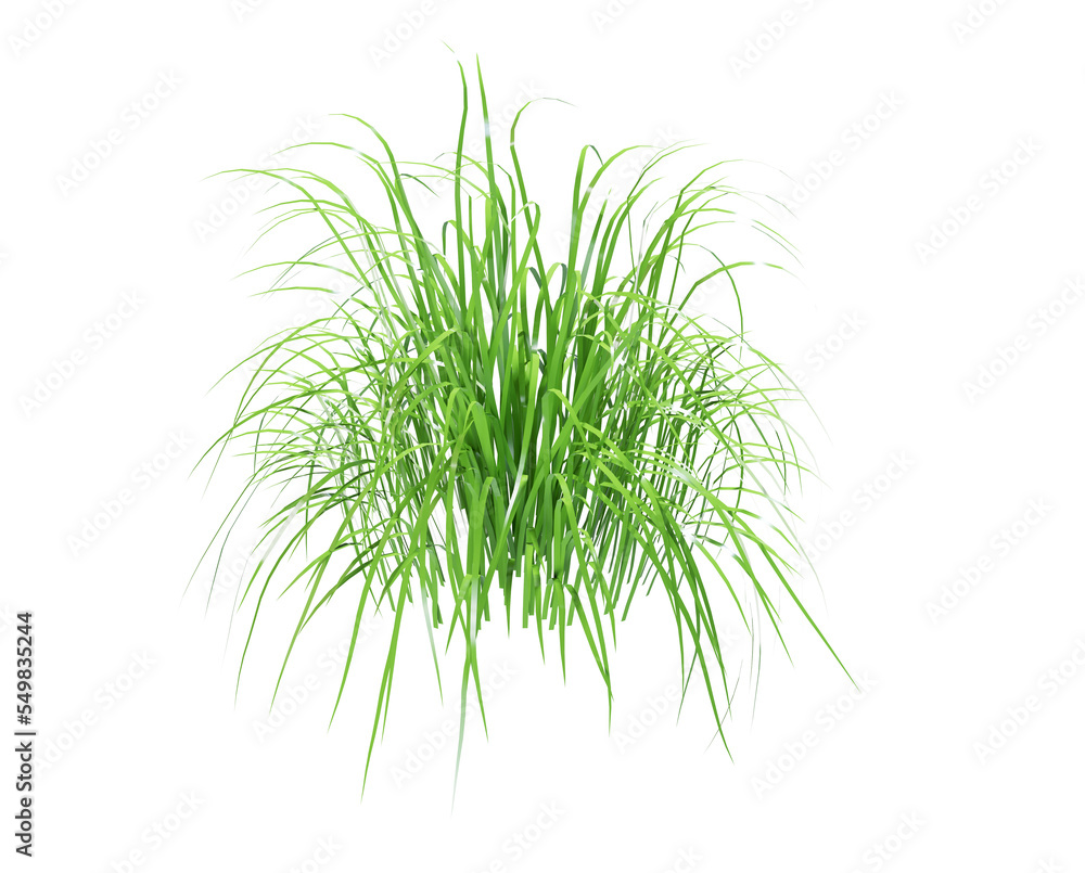 Round patch of fresh grass 3d render Round patch of fresh grass 3d render