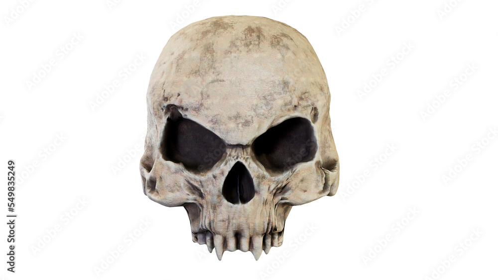 The vampire skull isolated 3d render The vampire skull isolated 3d render