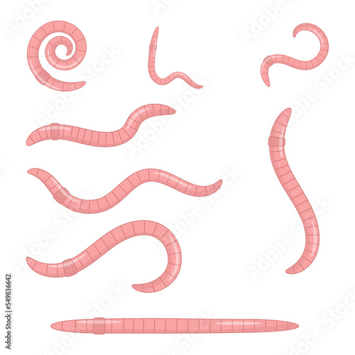 A set of earthworms. Pink worms of different shapes.