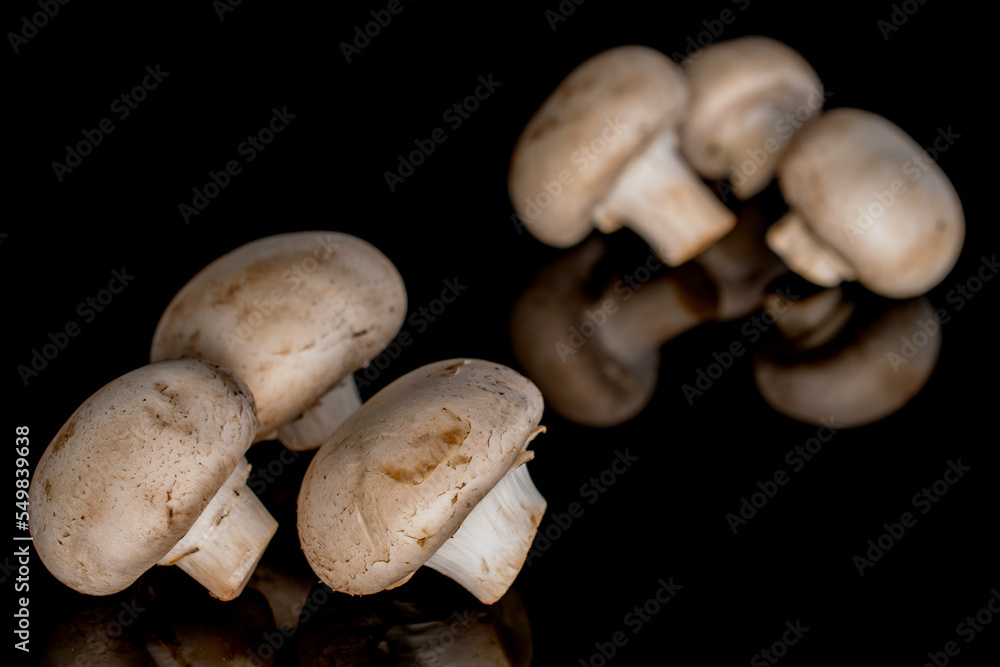 Several organic fresh appetizing champignon mushrooms on a black background. Several organic fresh appetizing champignon mushrooms on a black background.