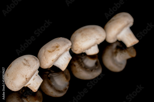 Several organic fresh appetizing champignon mushrooms on a black background.