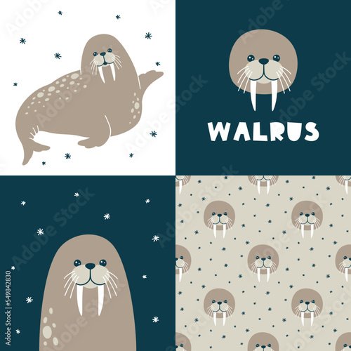 Cute vector collection with walrus. Seamless pattern and animal illustration