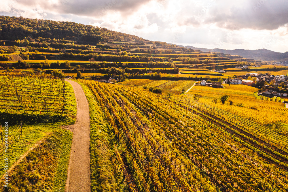 German wine culture landscape in autumn most beautiful hiking areas