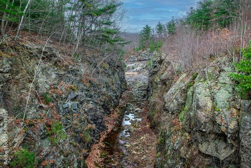 Tableau sur toile autumn leaves in the dry  quabbin spillway  in late autumn