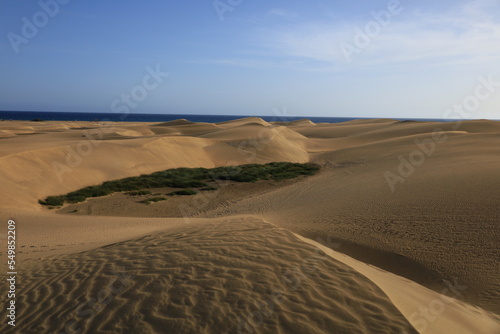 The Maspalomas dunes are sand dunes located on the southern coast of the island of Gran Canaria in the Canary Islands