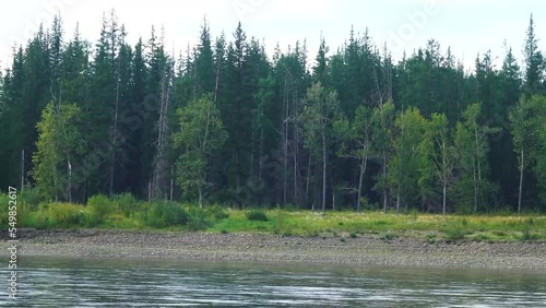 The Aldan River, tributary of the great Siberian Lena River. Smooth strong current abd whirlpools, Boreal forests (larch taiga) along the shores photo