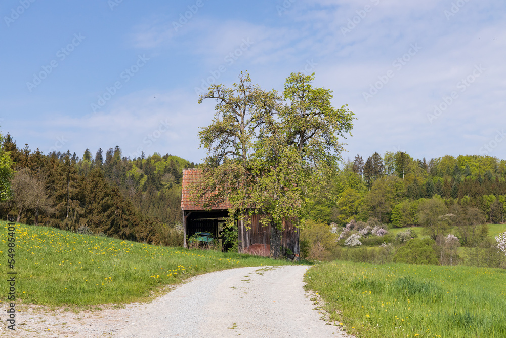 Gravel road to an old wooden Barn in Germany