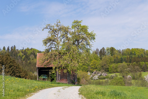 Gravel road to an old wooden Barn in Germany