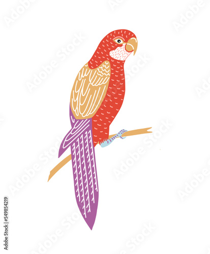 tropical colorful parrot in flat style vector illustration.