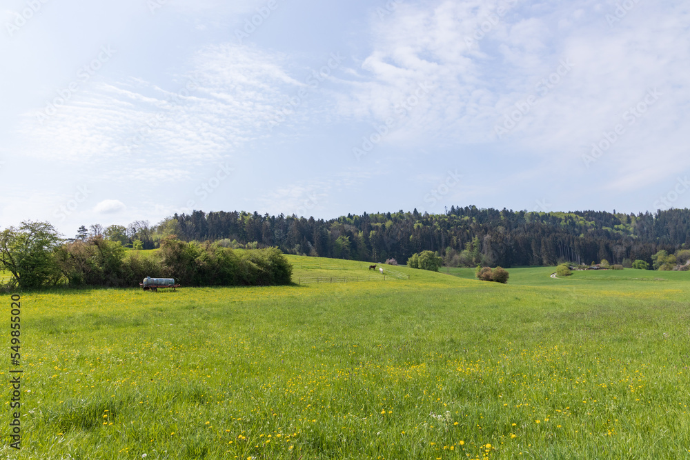Green pasture with blue sky and white clouds in 
Germany 