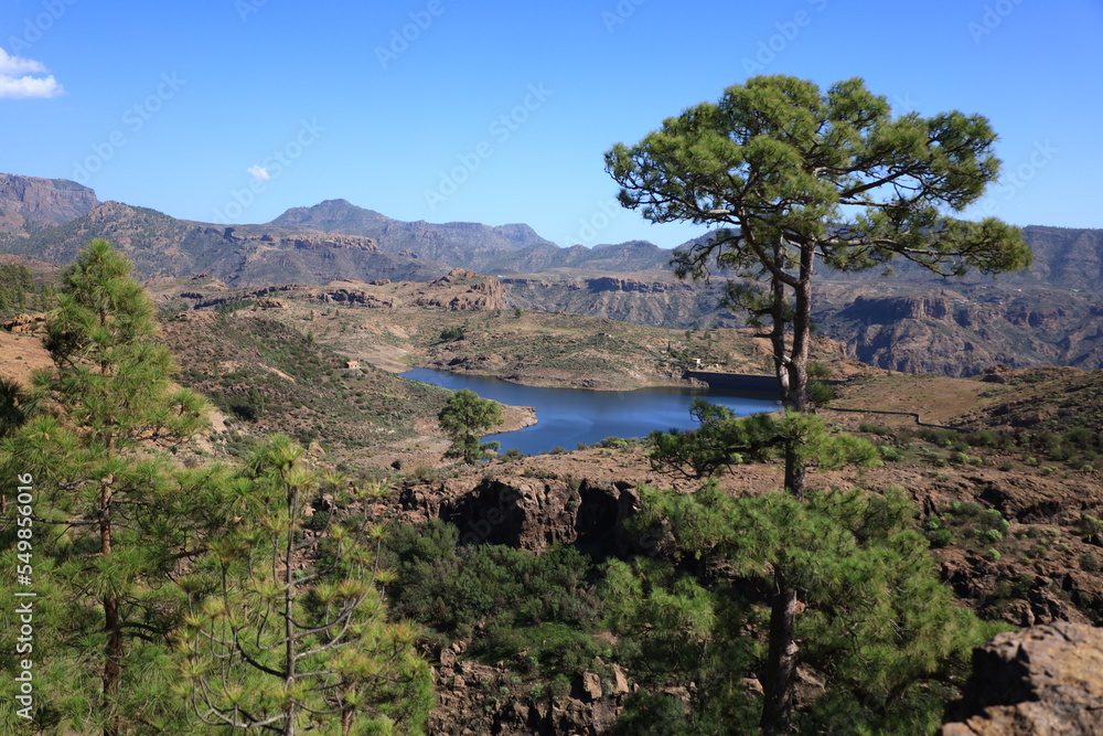 View on the lake of Presa De Las Niñas in Gran Canaria
