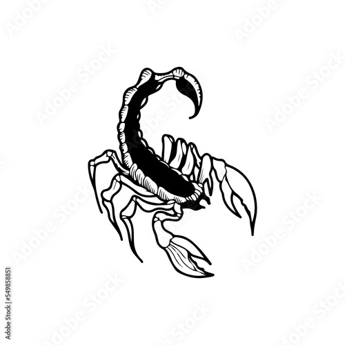 vector illustration of vicious scorpion concept