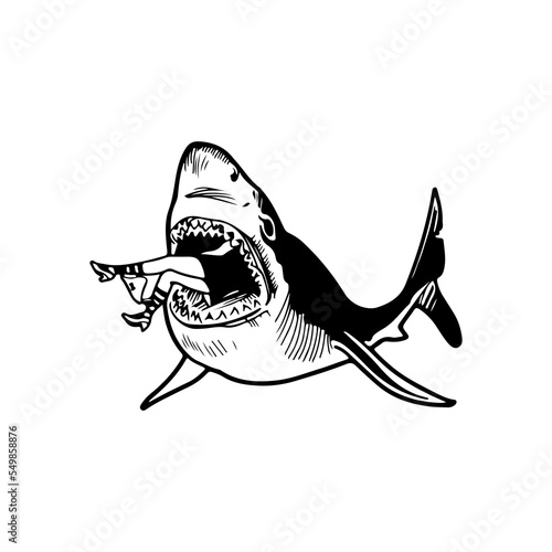 vector illustration of a ferocious shark