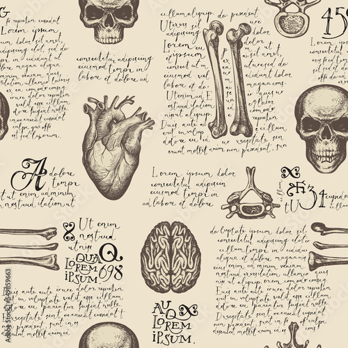 Anatomy seamless pattern with hand-drawn human skulls, bones, joints and organs on a backdrop of handwritten text lorem ipsum. Vintage repeating vector background with sketches on medical theme