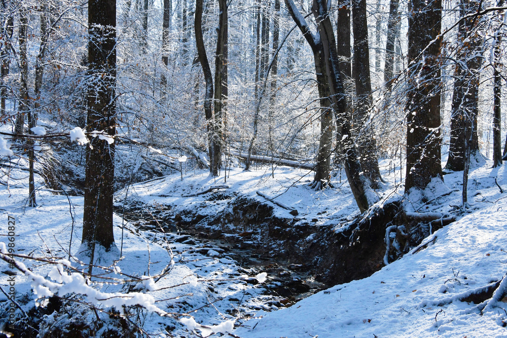 Snowy Creek in the Forest