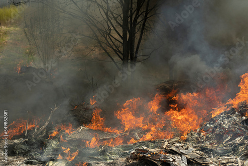 Fire and black smoke. Fire in landfill. Smoke in forest. Illegal landfill.