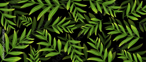 leaves illustration background for forest ecology nature background