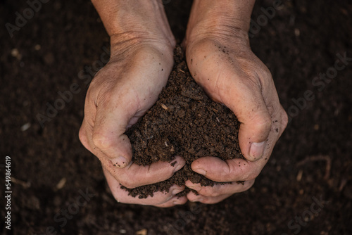 Wallpaper Mural Men's hands love soil for planting trees, World Soil Day. Torontodigital.ca