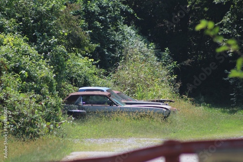 old cars in field