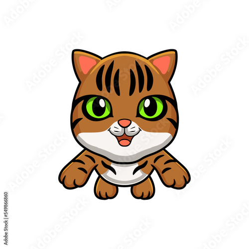 Cute bengal cat cartoon flying © frescostudio