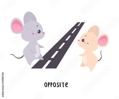 Little Mouse Standing Opposite Each Other on the Road as English Language Preposition for Educational Activity Vector Illustration