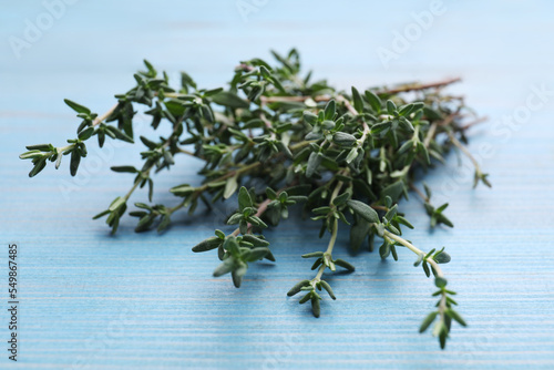 Bunch of fresh thyme on light blue wooden table, closeup