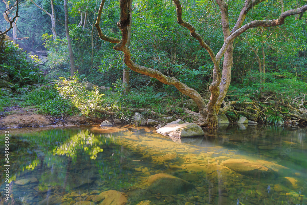 a scenery of country park Shing Mun reservoir in Hong Kong a scenery of country park Shing Mun reservoir in Hong Kong