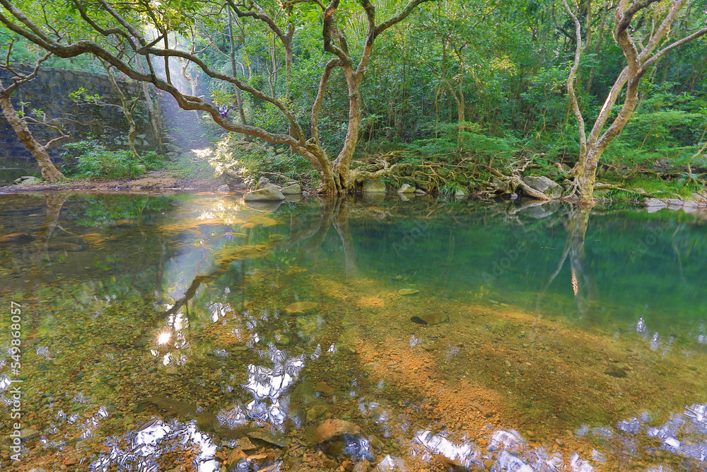 a scenery of country park Shing Mun reservoir in Hong Kong